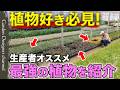 【プロ驚愕!】生産者のハウスを取材!ガーデナーが惚れ込んだ最高の一株が凄すぎる…!【The Grower’s Choice: How to Spot the Perfect Plant】
