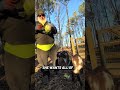 Like, Share, and Follow!! Surprise might be coming🐐🤭🫣#fyp #dayinmylife #animals #goat #pregnant