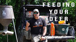Feeding Your Summer Deer | How To Help Deer Antler Growth | Summer Whitetail Tips