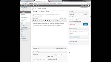 CodeCanyon - WordPress YouTube video post : import single video