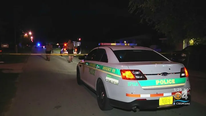 Mother, Sons Injured In West Perrine Drive-By Shoo...