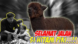 Download Lagu SEDIH.. KEHILANGAN TEMEN MAIN..!! DZAKY SAMA DJALU NANGIS..!! MP3