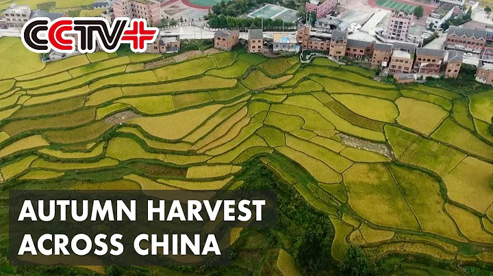 Autumn Harvest Underway Across China - DayDayNews