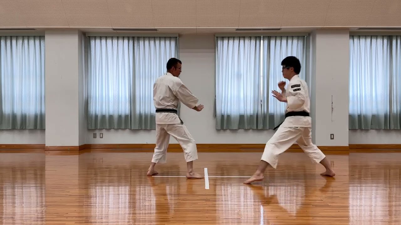 内押受突 少林寺拳法／uchi oshi uke zuki Shorinji Kempo - YouTube