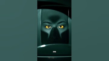 Echoes of the Void: The Navigator