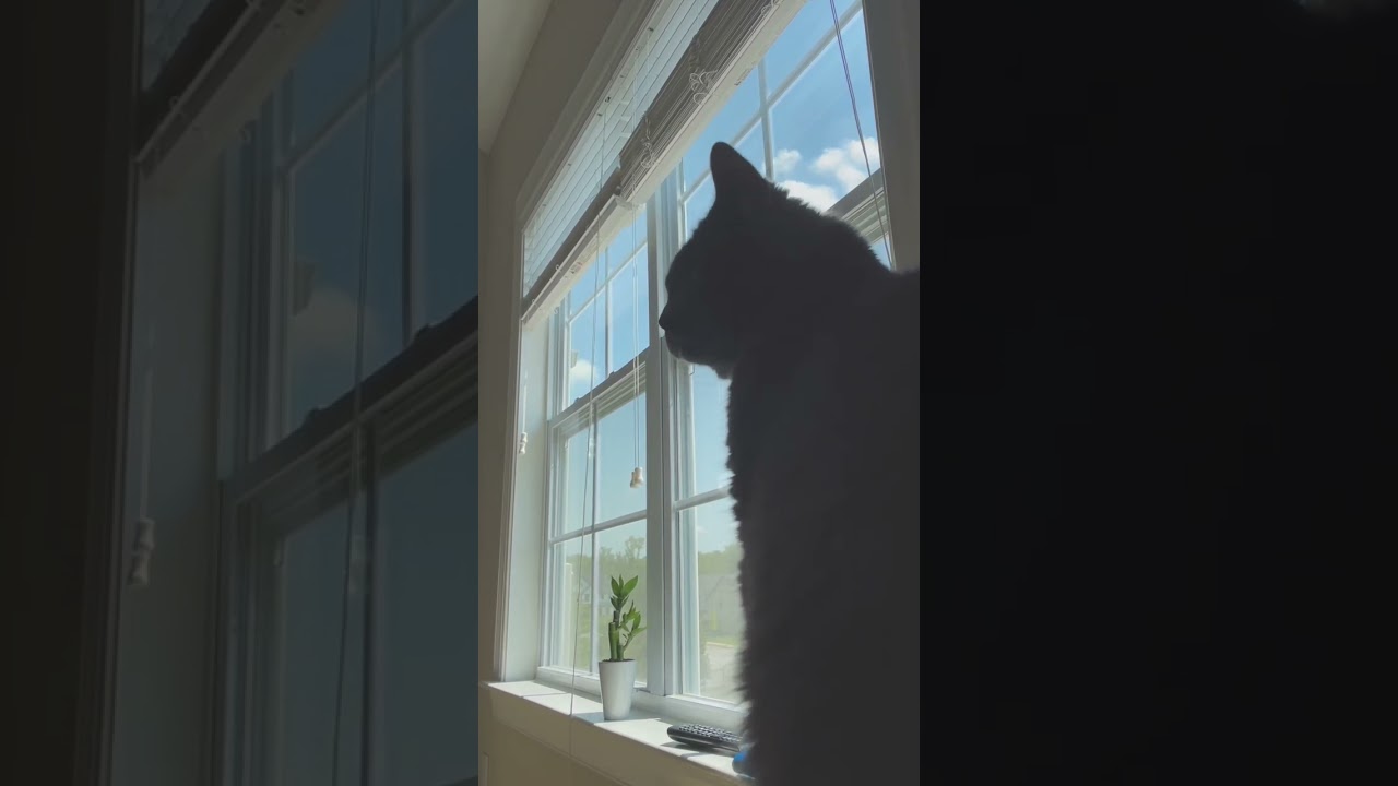 PO33 + PO24 best combo 🥰 