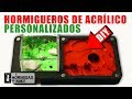 Cómo Personalizar Hormiguero Acrílico - DIY | Las Hormigas de Mike