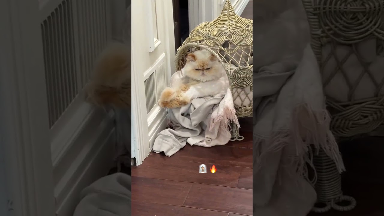 @phoeberonipepperoni: Ее личная сауна 😅 