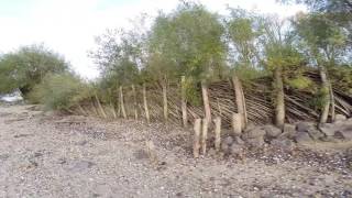 Hammer Aue In Gernsheim 3.11.16--Bar Suraube-Swiecie