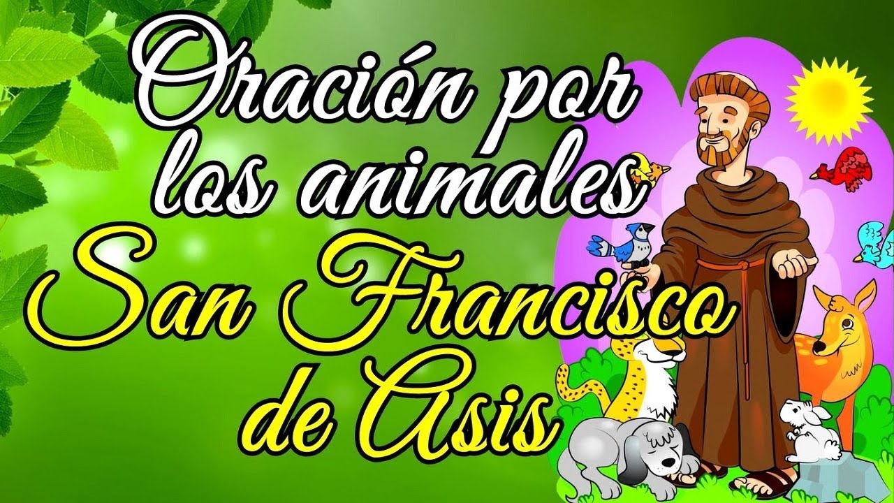 Oración de san francisco de asis para los animales | Actualizado abril 2023