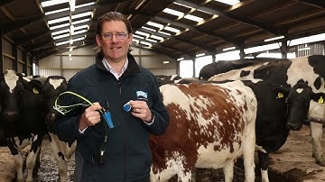 SenseHub Expert Series Episode 6: Tags and Neck Collars