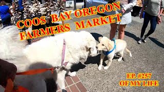 The Frank Files COOS BAY OREGON FARMERS MARKET  EP. 257  #franksmiles  #therapydog #greatpyrenees