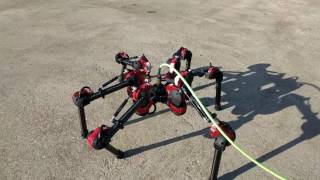 heXapod