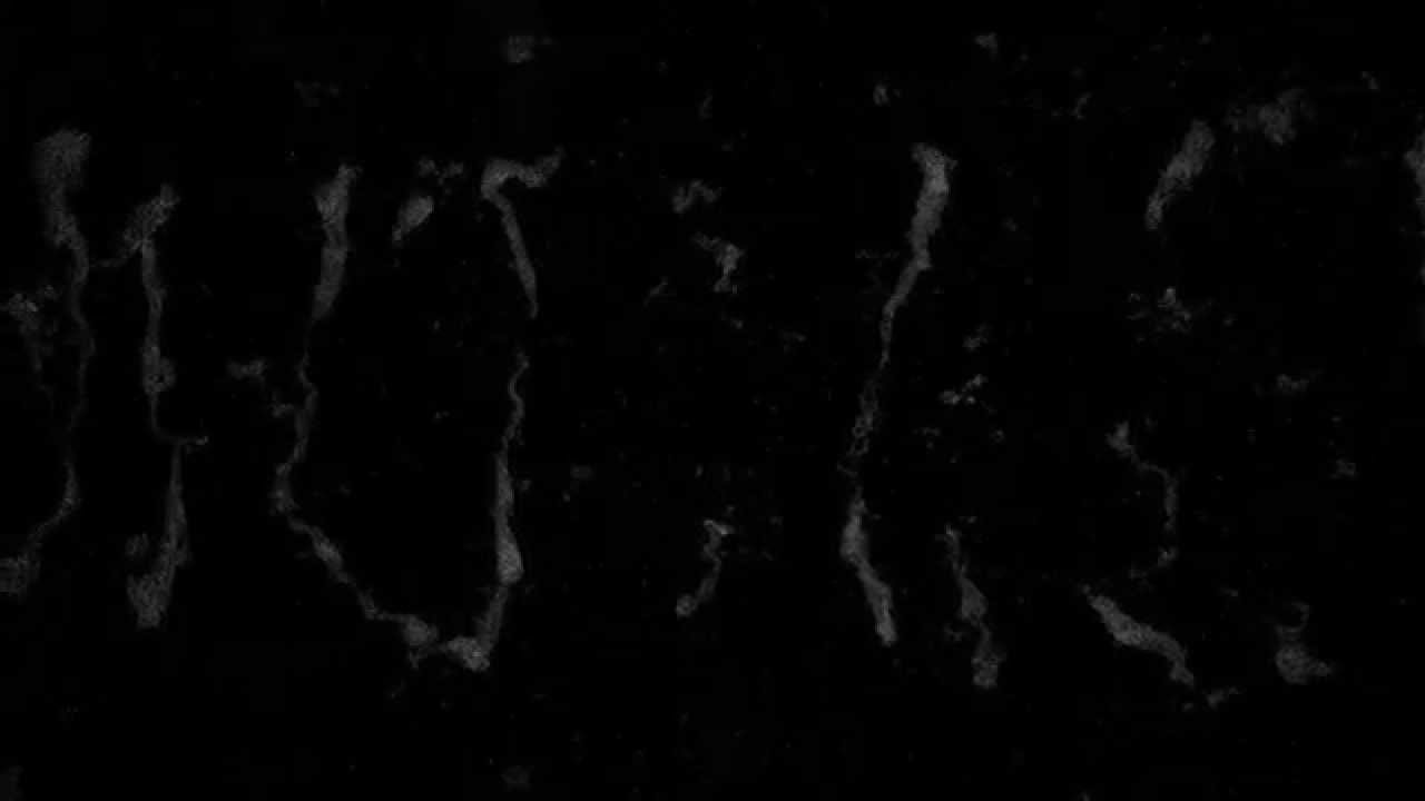 Watch Flaque - Alive on YouTube Watch Flaque - Alive on YouTube