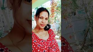 Download Lagu koi koi akome ❤️,#shortsvideo #sd MP3