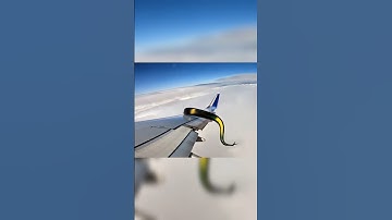 Emirates Crew panicked at extreme height 😱 | python on aeroplane | #shorts #snake #python
