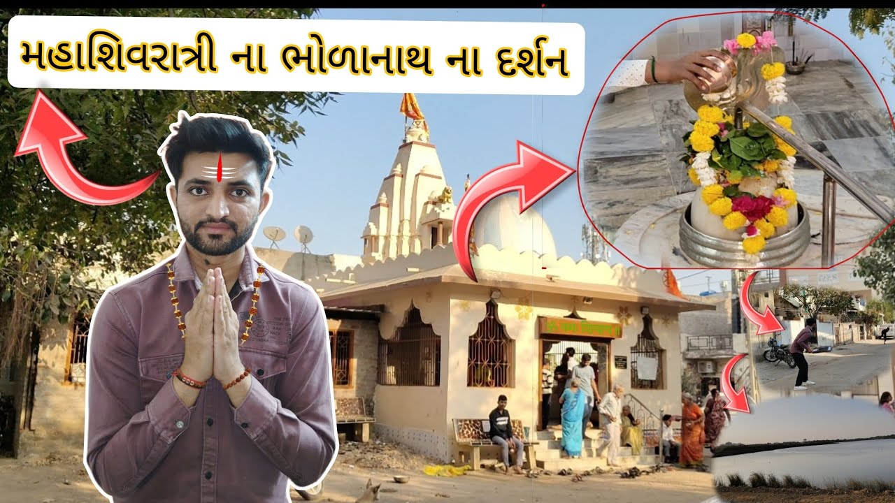 DAY 8/30   મહાશિવરાત્રી ના ભોળાનાથના દર્શન 🙏/ mahashivratri mahadev na darshn ✨#daylivlog #homevlog 