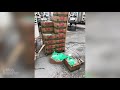 Middle of video
