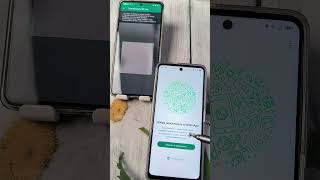 Секреты телефона. Как перенести все чаты WhatsApp со старого телефона но новый без потерь