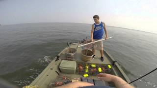 Crabbing, Rockfish and Bluefishing all in one morning! Kent Narrows, Maryland