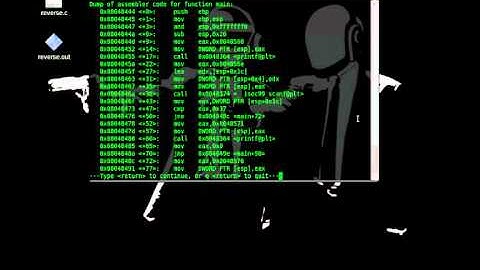 Reverse Engineering Binaries