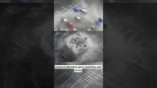 Meaning of Quantum Numbers in interactions #physics