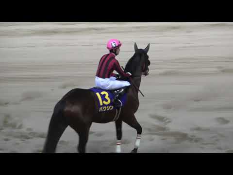 【競馬】第71回 全日本2歳優駿JpnＩ 本馬場入場 現地映像 アランバローズ