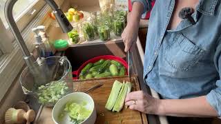 Nothing says summer like a crunchy, homemade dill pickle!  🥒