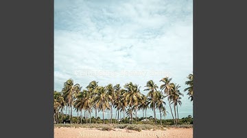 Pulsating Background Music for Siesta