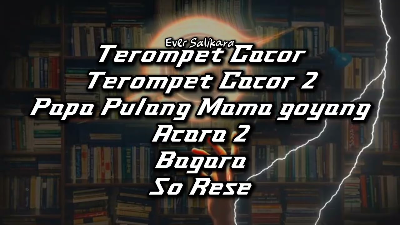 PERPADUAN EVER SALIKARA DISKOTANAH New Remix 2025‼️