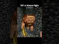 Minecraft : TNT vs Mutant Piglin #minecraft #shorts