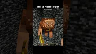 Minecraft : TNT vs Mutant Piglin #minecraft #shorts