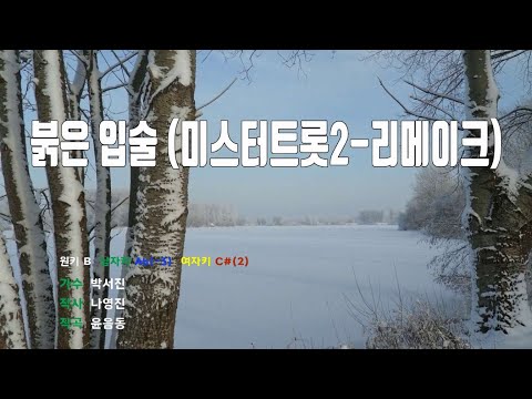 [은성 반주기] 붉은입술(미스터트롯2-리메이크) - 박서진