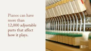 Whats The Difference Between A Piano Tuner And A Piano Technician?