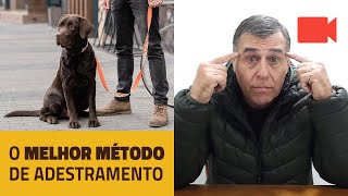 O Melhor Método de Adestramento. Induzindo o cão à obediência.