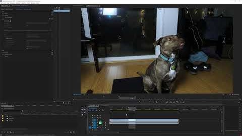 Flicker Free 2.0 Features: Motion Compensation
