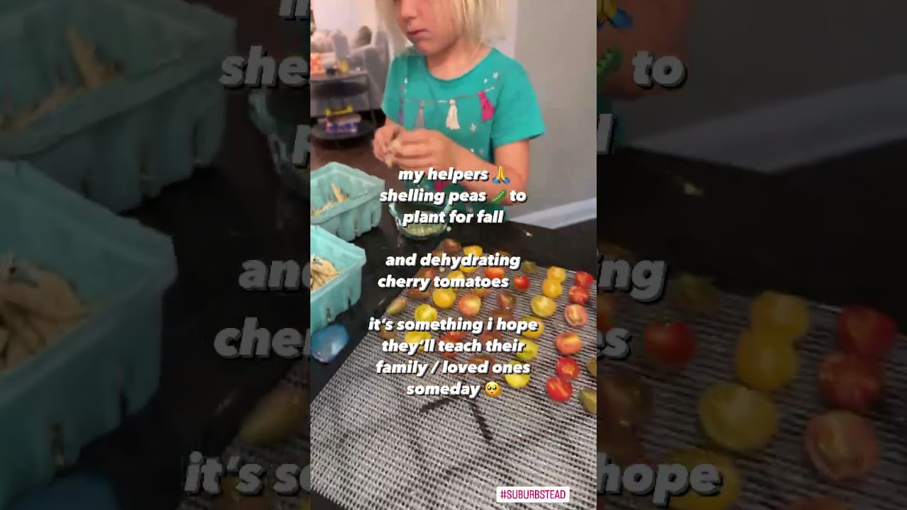 Teaching Kids Homesteading Skills