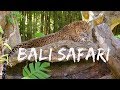 Бали - путешествия с ребенком. Бали Сафари парк / Парк птиц на Бали -  Серия 3