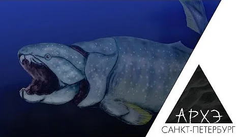 Павел Скучас| 