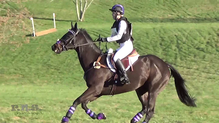 Melissa Newsome & Isobel's Hero Virginia Fall CCI & Horse Trials 2019