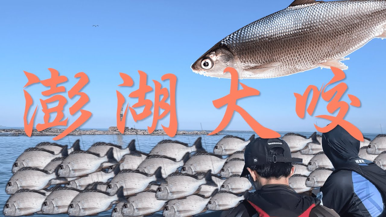 超熱,魚還是很多|澎湖上礁 縮圖