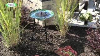 Argus Glass Solar Birdbath by Smart Solar