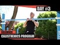 Beginner Calisthenics Program - Day 3