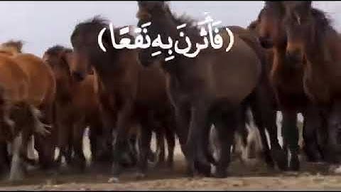 سورة العاديات - الشيخ خالد الجليل قراءة جميلة