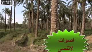 يا ريحانة  ... رعد ميسان