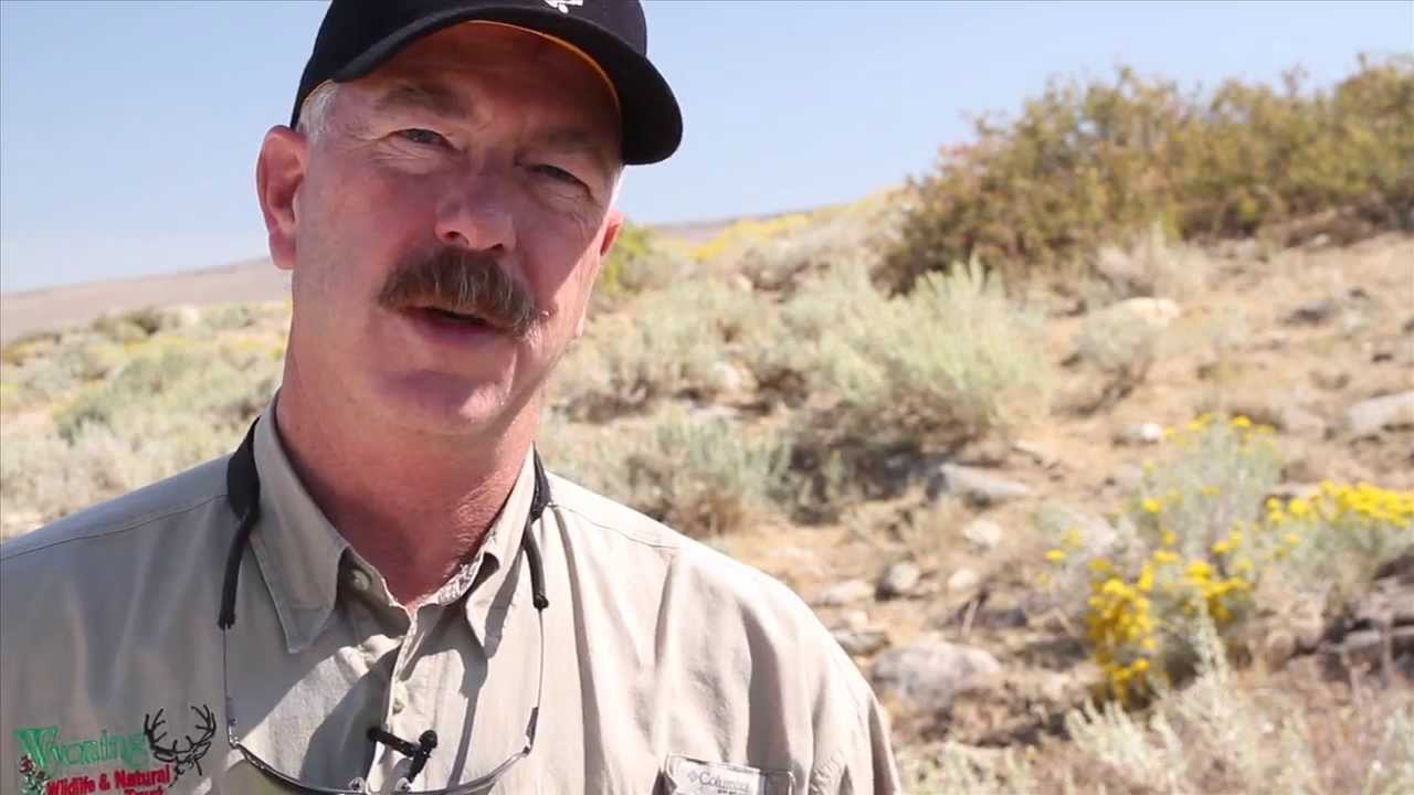 Saving Sage Grouse: The Wyoming Example