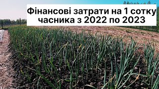 Фінансові затрати на вирощування 1 сотки часнику в 2023