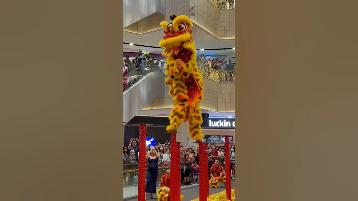 Last High Pole Lion Dance Of 2025🇸🇬 #subscribe #shortsfeed #shorts #short