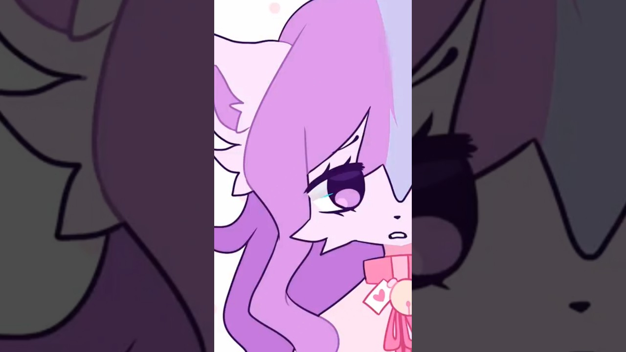 D-NEWS: Сешли снова обвиняют 