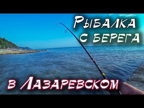 Береговая рыбалка в Лазаревском